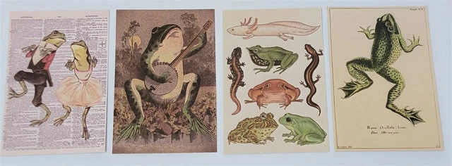 Victorian Trading 4 Asst Frog Planner Note Post Cards Frameable 28E