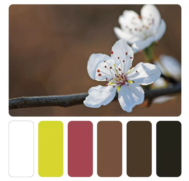 Bild Foto auf Holz Geschenk Fotografie Kirschblüte Frühling Wandbild Deko Kreati