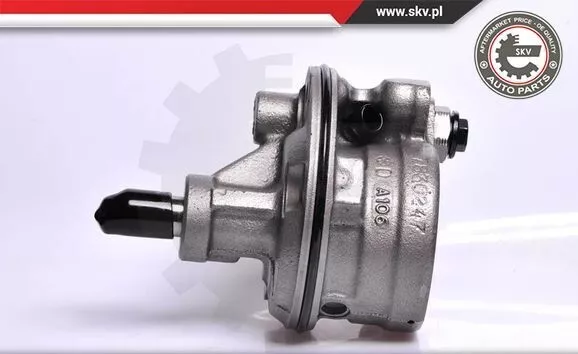 Servopumpe für Chrysler Voyager Dodge Caravan 1996-2000
