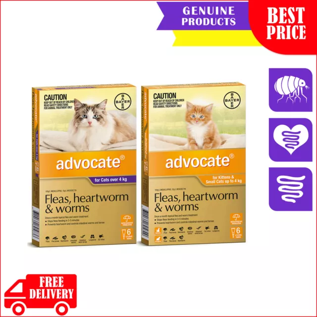 Advocate 6 Pipettes for All Sizes Cats Heartworm Worm Flea Treatment