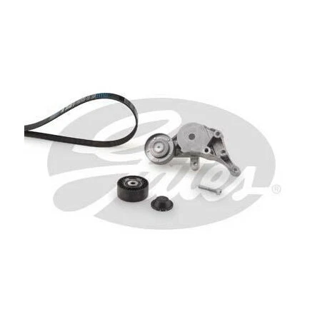 Kit de courroie d'accessoire Audi A3, Seat : Cordoba, Ibiza, Leon, Skoda Oct