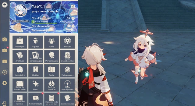 Compte Genshin Impact AR 55 - Serveur EU, PC, Neuf (jamais Utilisé)