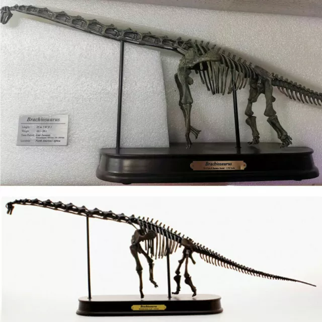 Brachiosaurus Skeleton Model Dinosaur Statue Resin Display Collection Figure