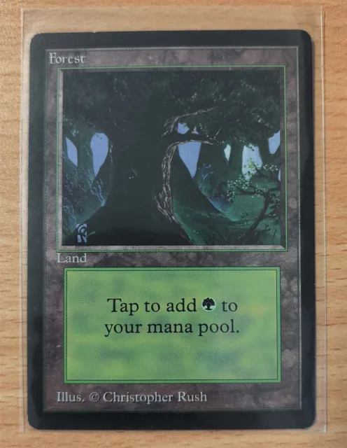 MAGIC THE GATHERING MTG CARD - Forest - Beta (Version 1)