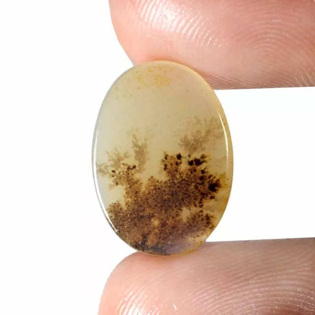 05.00 Cts 100% Natural Scenic Dendritic Agate Tree Cabochon Loose Gemstone TS33