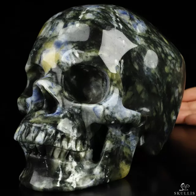 Super Realistic! Lifesized 7.0" Brazil Sodalite Hand Carved Crystal Skull