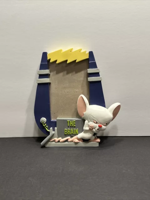 Pinky and The Brain 1997 Warner Bros Store Exclusive “The Brain” Picture Frame