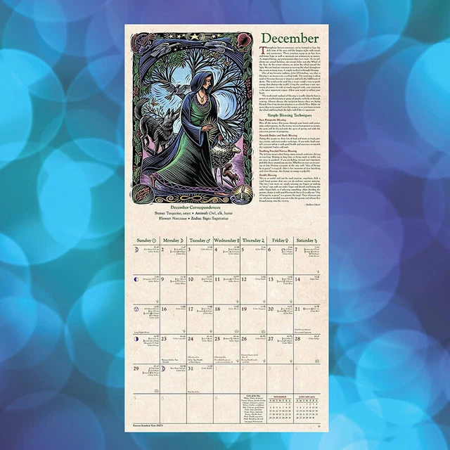 LLEWELLYN'S 2024 WITCHES' Calendar Calendar 2024 Wall Calendar ** EUR