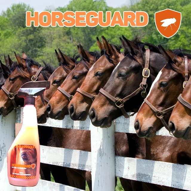 DEET FREE HORSE FLY SPRAY. Fight Flies, Midges and Mosquitoes All