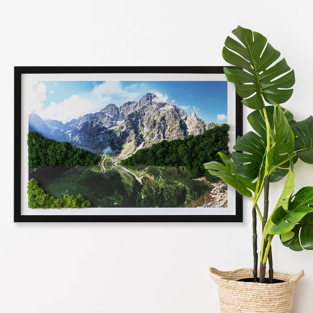 Arte Muschio Decorazione Murale Naturale Cornice MDF nero 60x40 cm Monti Tatra