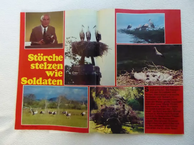 Bastei Verlag Roy Tiger Nummer 71 in Zustand 2