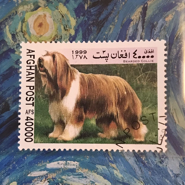 Bearded Collie Dog Stamp Dogs Collectible Dog26