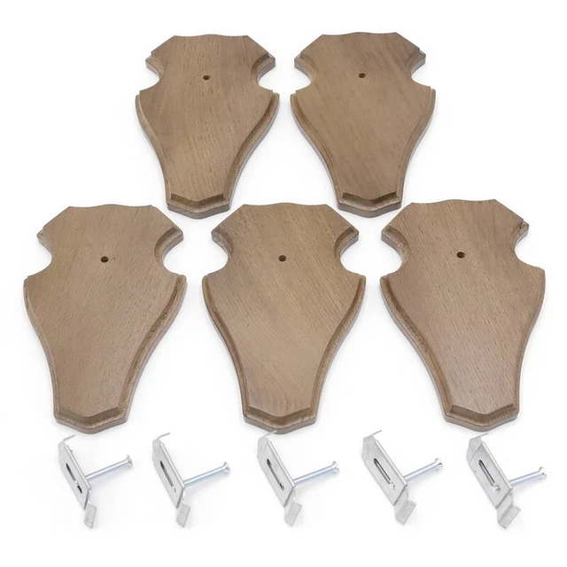 5 Pieza Ciervo Escudo de Trofeo Romo Pequeño Braun Af 19cm x 11cm Con 5x Pinzas 2