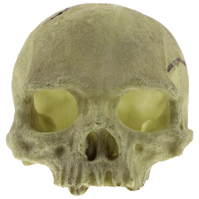 Fish Tank Decoration Skull Shape Halloween Party Aquarium Decorate Decorations