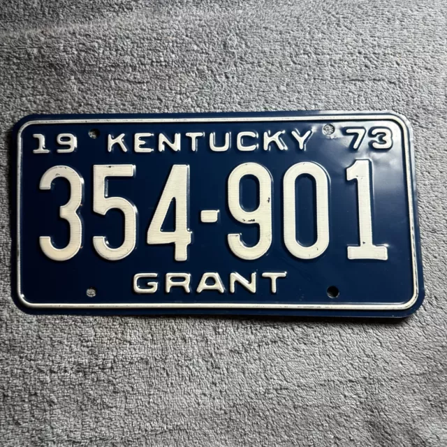 1973 Grant County Kentucky License Plate 354-901