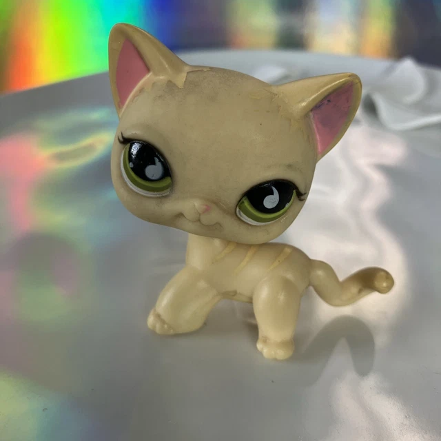 Figurine Petshop Chat Européen 733