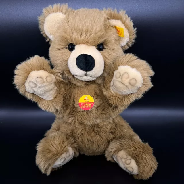 STEIFF Bär MOLLY TEDDY | 022067 | KFS | Jahr 1996 | 35 cm | Sehr guter Zustand