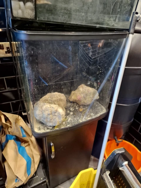 100 Litre Fish Tank