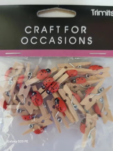 Mini wooden pegs with Ladybirds. Pack 20. Crafts. Red.
