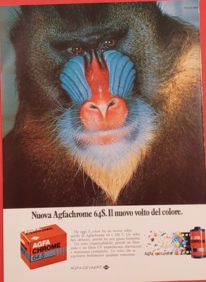 E844-Advertising Pubblicità-1986-AGFA CHROME TESTIMONIAL PETER KNAUP 