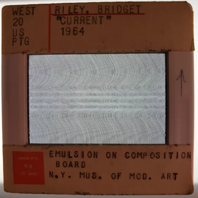 Bridget Riley Current 1964 Art 35mm Glass Slide