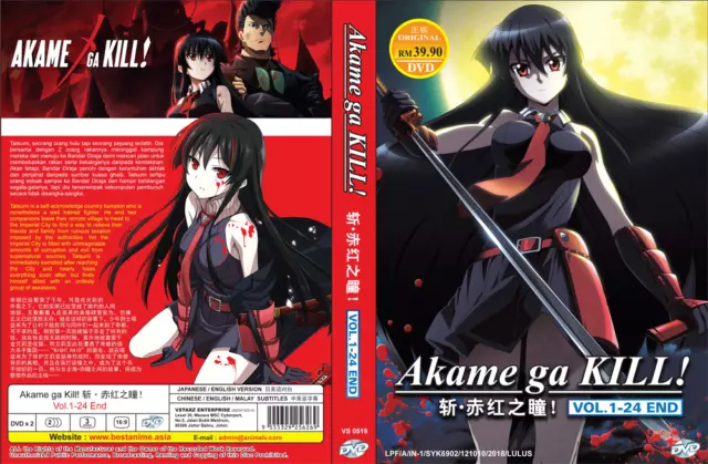 *DOUBLÉ ANGLAIS* Akame Ga Kill Vol.1-24 fin DVD ANIME région All 3