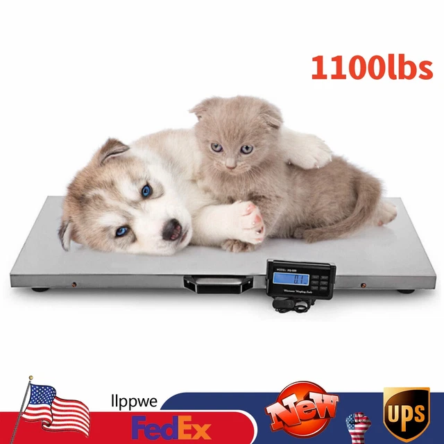 Digital Livestock Vet Scale 1100lbs Heavy Duty Hog Pet Dog Sheep Goat Scale USA
