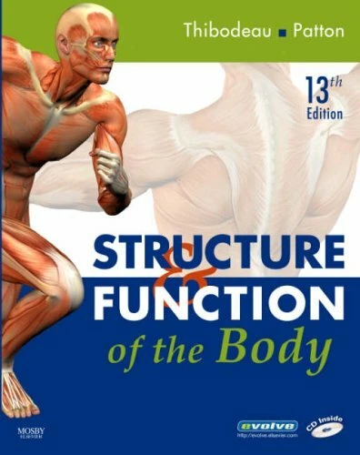 Structure And Function Of The Body Pdf
