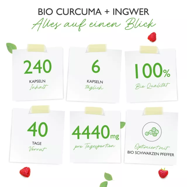 Cúrcuma orgánica + jengibre - 240 cápsulas (V) 4400mg por día - dosis altas - curcumina 2