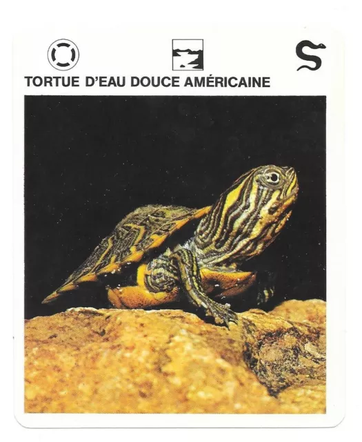 Fiche - Le livre de Paris - 1975 - Tortue d'eau douce américaine