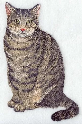 Embroidered Sweatshirt - Tabby Cat C7941 Sizes S - XXL