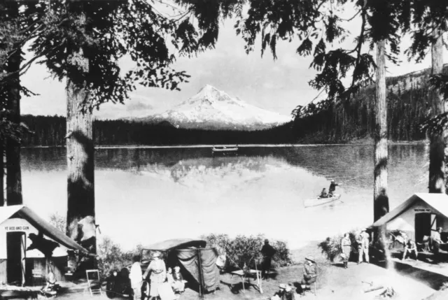 400+ Page Mt. Hood National Forest Teacher Historic Nature Photo Book on Data CD