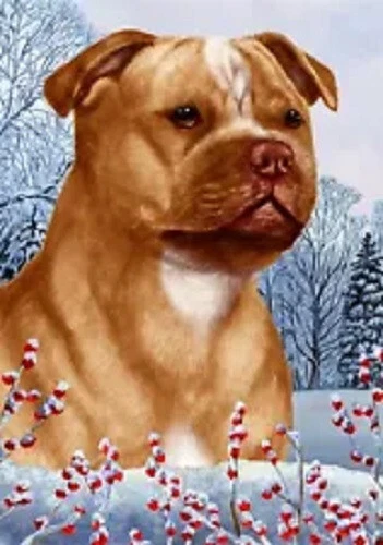 Winter House Flag - Orange and White Staffordshire Bull Terrier