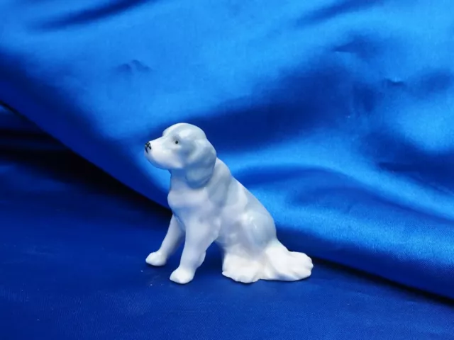 Antique Porcelain English setter Spaniel dog blue White Germany studio Lovely!*