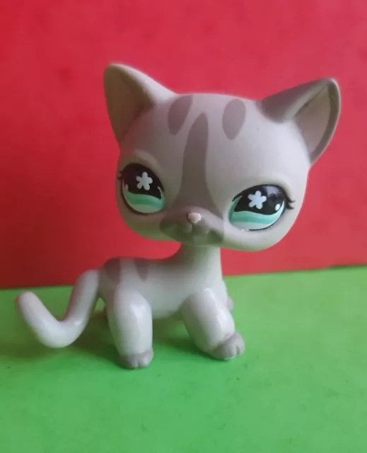 Lps # 468 Littlest Petshop Original Authentic Chat Europeen European Cat Hasbro