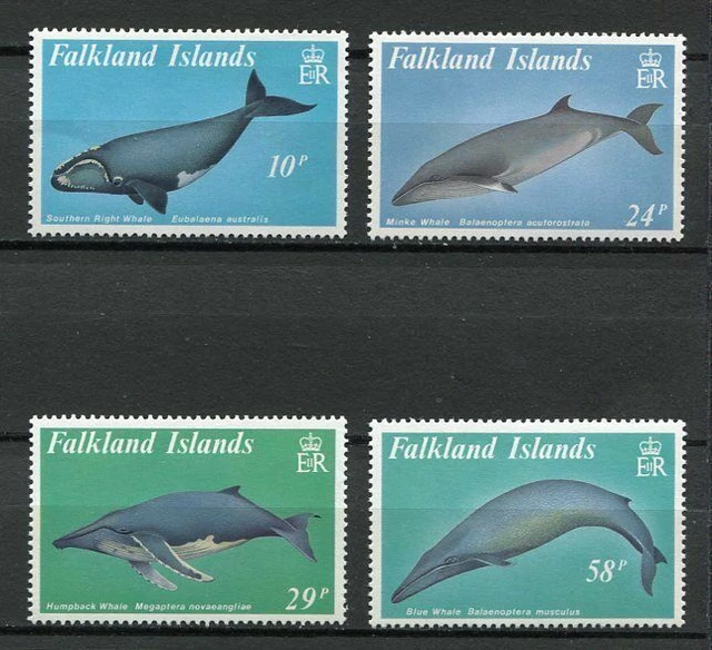 39328) Falkland Isl. 1989 MNH Whales 4v