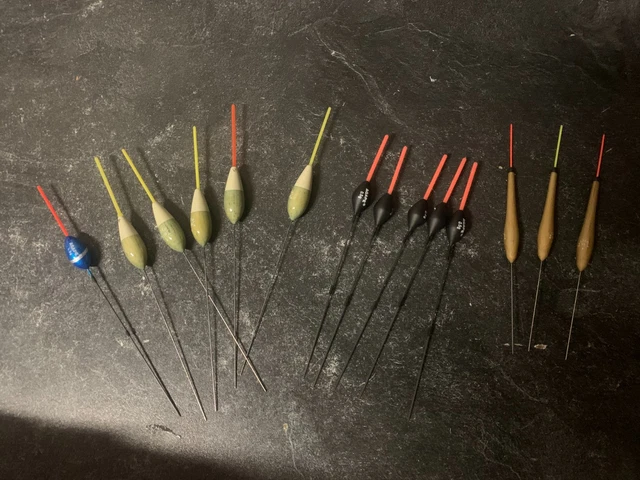 Lot De 6 Flotteurs De Pêche En Mousse EVA – Lumineux, 10/20/30 G, Silencieux, Pour Mer, Carpe, Bar, Argentée