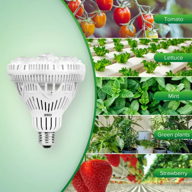 Grow LED Pflanzenlampe 36W Pflanzenlicht Vollspektrum E27 für Zimmerpflan SANSI 3
