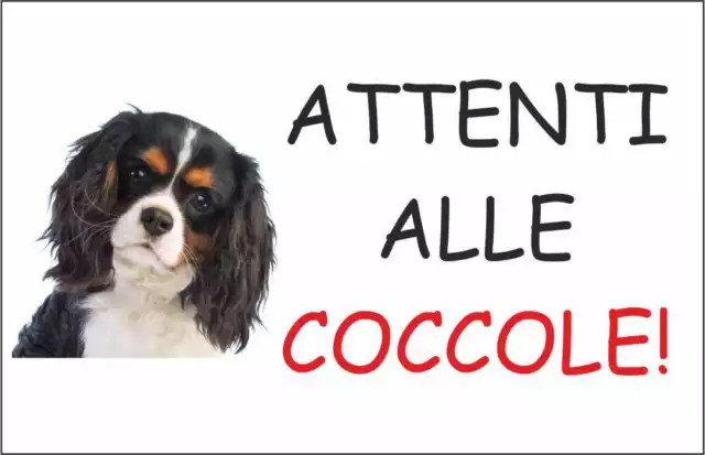 CARTELLO SEGNALETICO - CAVALIER KING NERO ATTENTI ALLE COCCOLE - segnale