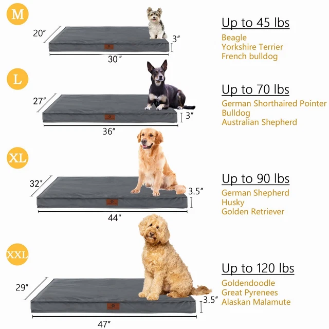 Gray Super Soft Medium Large Jumbo Dog Beds Orthopedic Memory Foam Pet Mattress 3