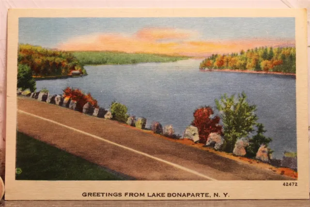 New York NY Lake Bonaparte Greetings Postcard Old Vintage Card View Standard PC