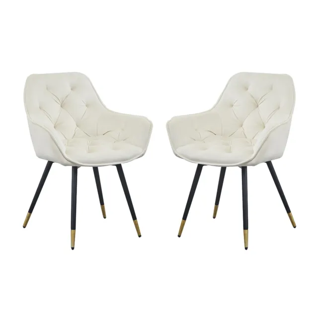 Luppino Dining Chair - Set of 2 - 23.5" x 25" x 34.5" - White Mid-Century Modern