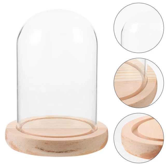 VCM Holz Glas Vitrine Sammelvitrine Glasvitrine Schaukasten