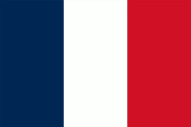 27"x54" France French Flag House Banner 100% Polyester