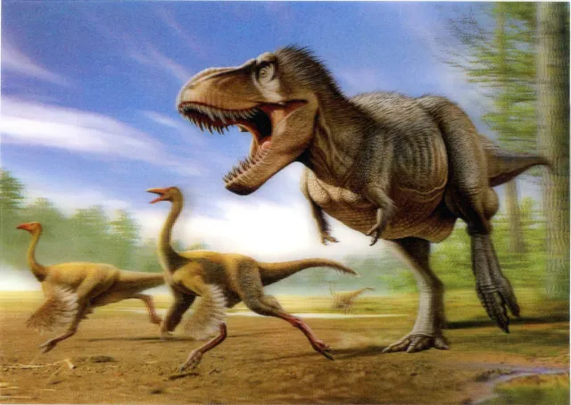 T- Rex hunting Struthiomimus - Dinosaur - 3D Lenticular Postcard Greeting Card