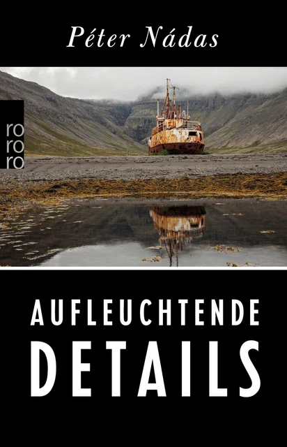 Aufleuchtende Details Memoiren eines Erzählers Péter Nádas Taschenbuch 1280 S.