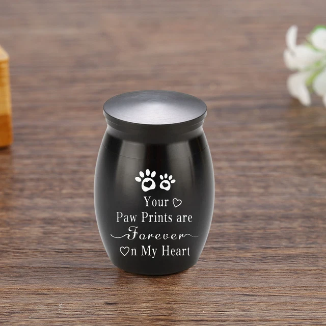 Pet Hair Container Heavy Duty Urn Small Dog Cat Keepsake Cremation Box