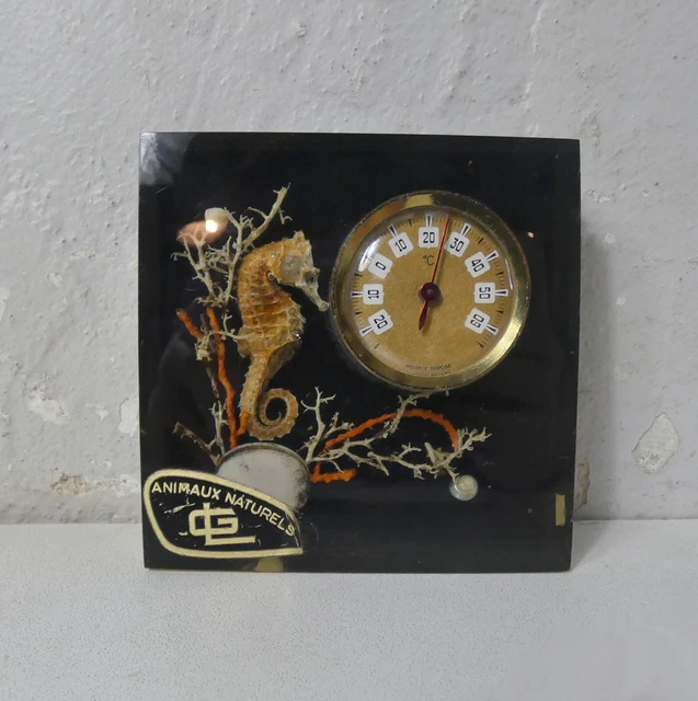 Thermomètre Résine Vintage – Hippocampe, Poisson Et Coquillages – Art Déco France