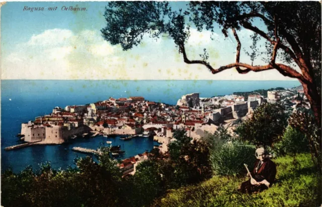 CPA AK CROATIA DUBROVNIK - RAGUSA mit Oelbaum (571024)