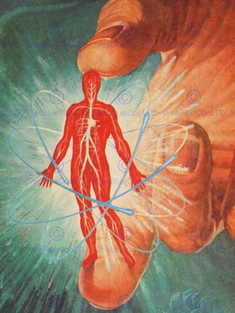 86438 SURREAL NUCLEAR CARDIOVASCULAR SYSTEM ATOMIC Wall Print Poster Plakat